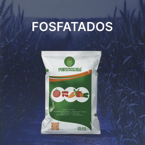 NOV_FQM_BANNER_CATEGORÍAS_500X500PX_FOSFATADOS