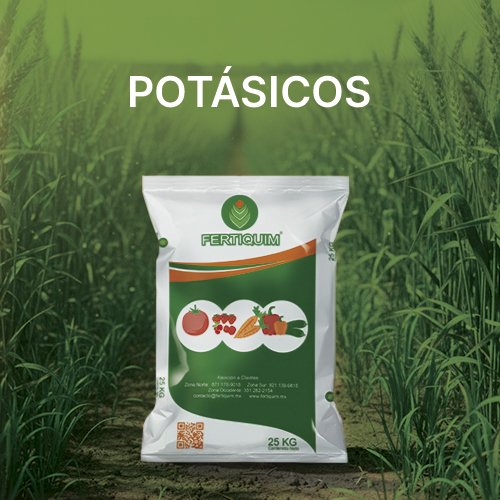 NOV_FQM_BANNER_CATEGORÍAS_500X500PX_POTASICOS